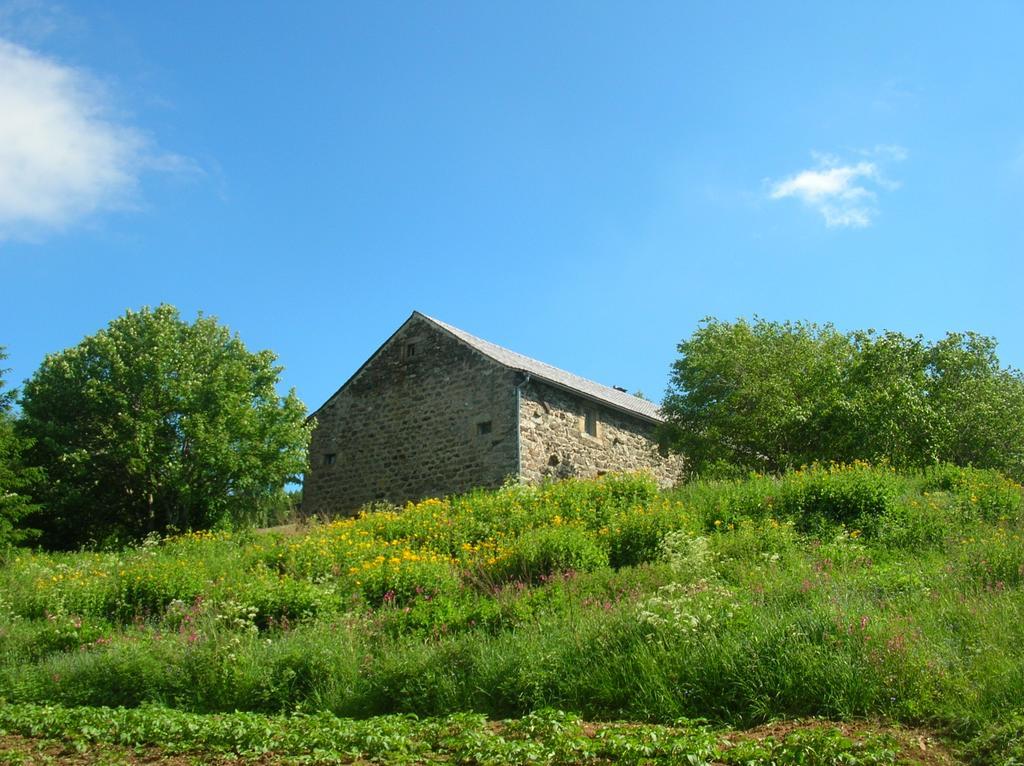 Bed and Breakfast Bastides Du Mezenc Saint-Front  Exterior foto